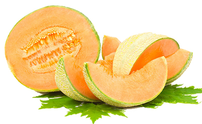 MELON GIVCO 150/2